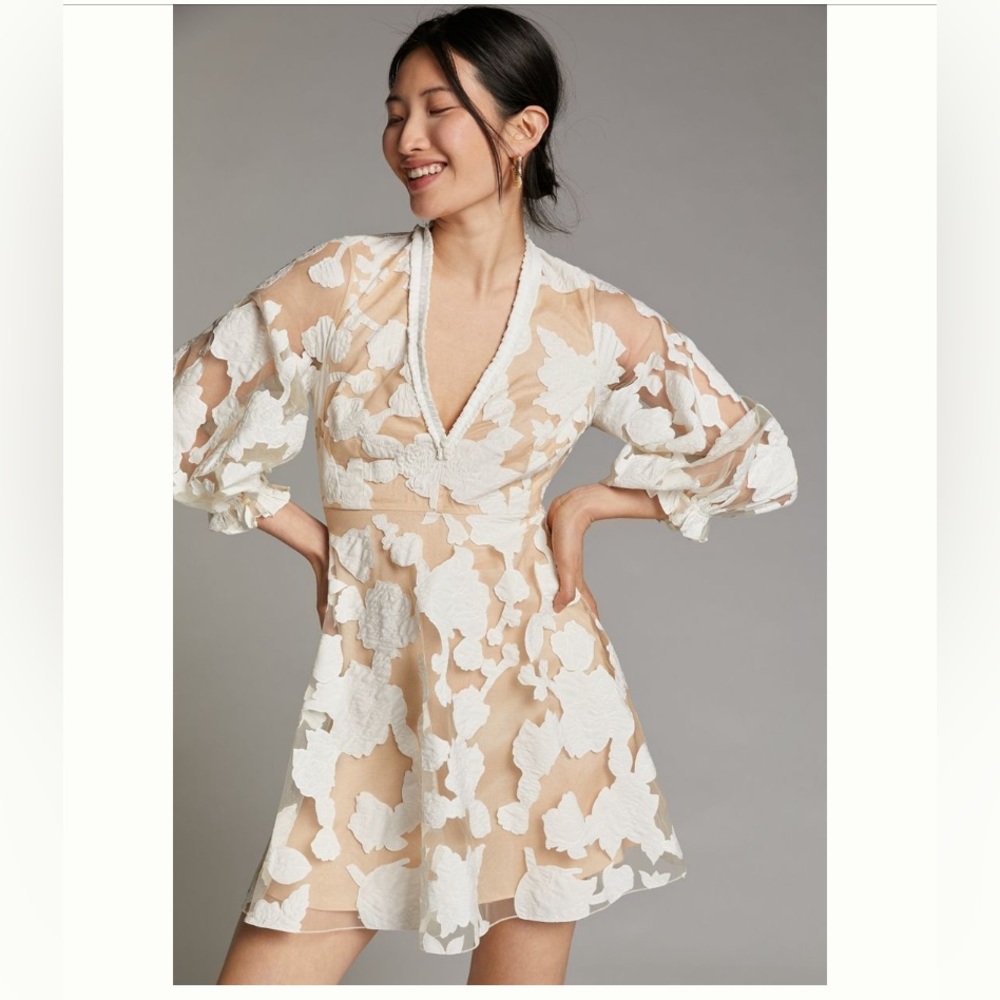 Anthropologie Loren Appliquéd Tulle Mini Dress